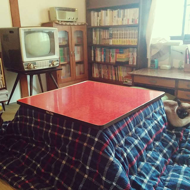 naka77さんの実例写真