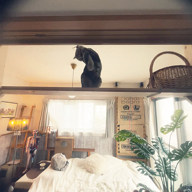 Mさんの部屋