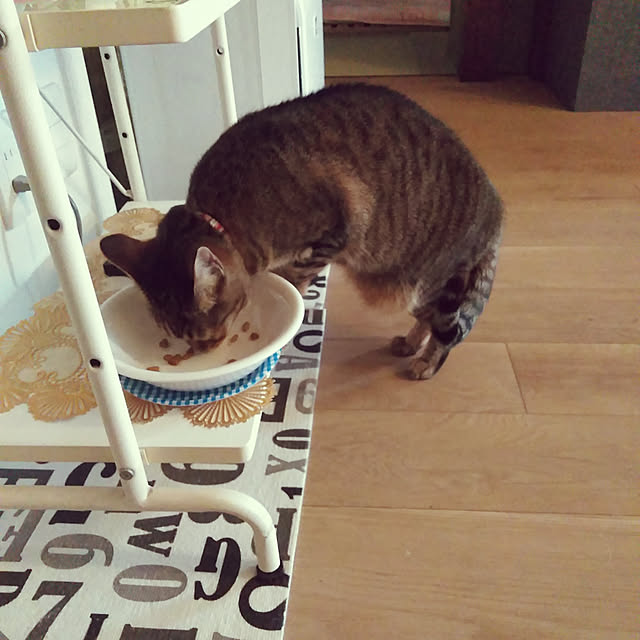 futukoさんの実例写真