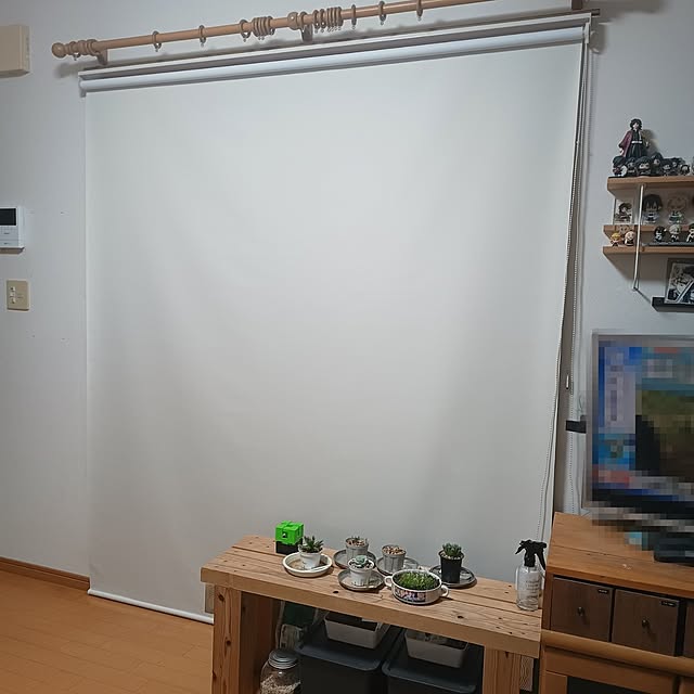 soyokoさんの実例写真
