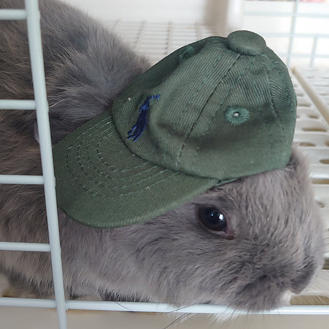 nenekoさんの実例写真