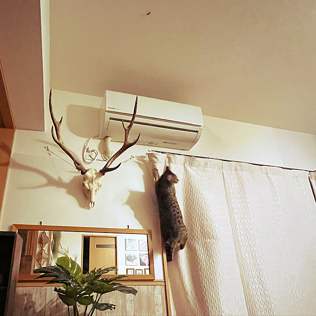 Mさんの実例写真