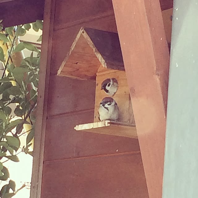 bergamotさんの部屋