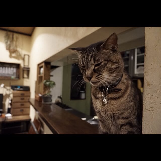jnkaiさんの実例写真