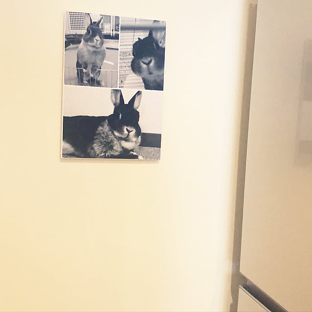 Naoさんの実例写真