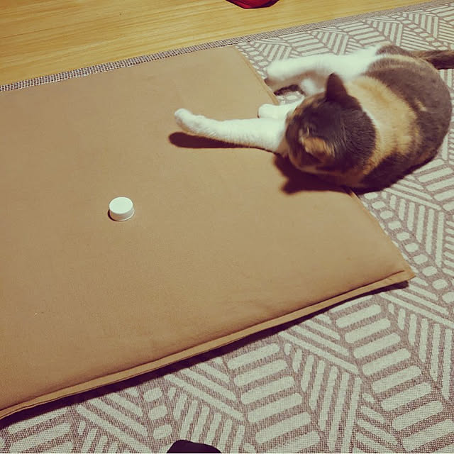 fukuさんの実例写真