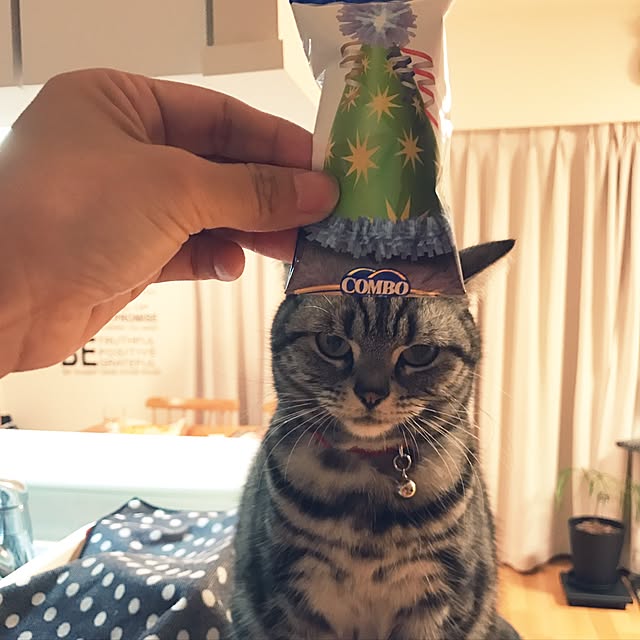 hiyupan88さんの実例写真