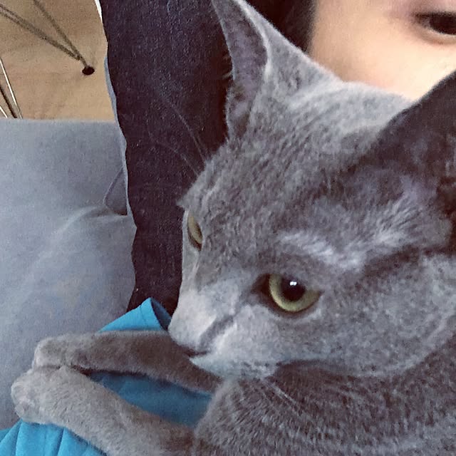 maripoさんの実例写真