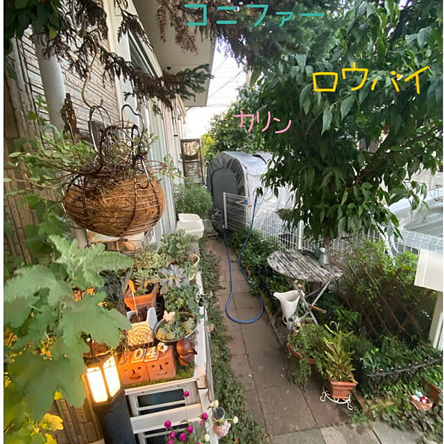 Lufuさんの実例写真