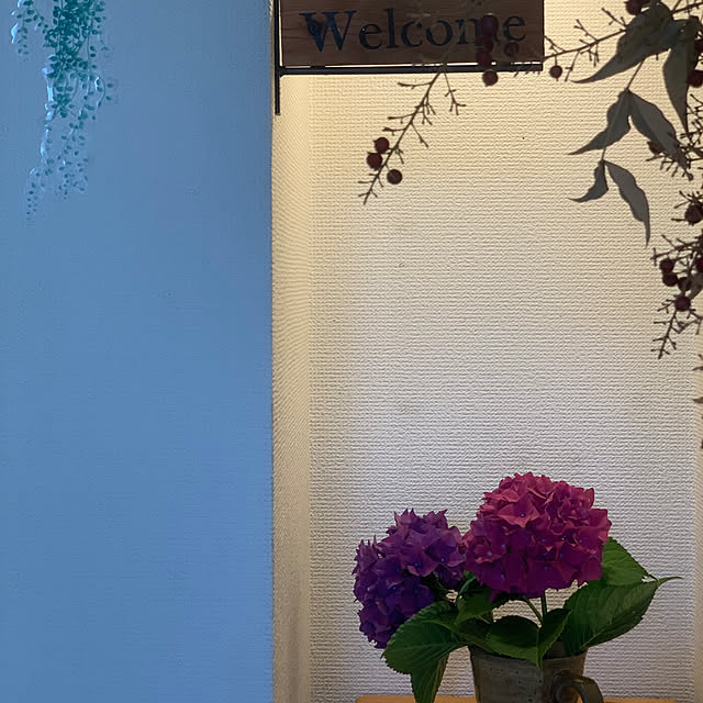 masakoさんの部屋