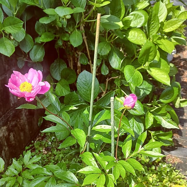 hiro.904さんの実例写真