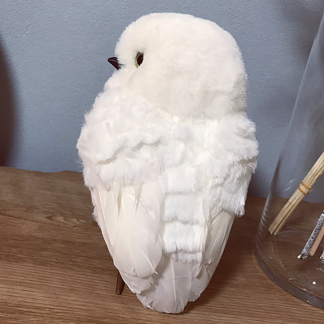 hi705さんの実例写真