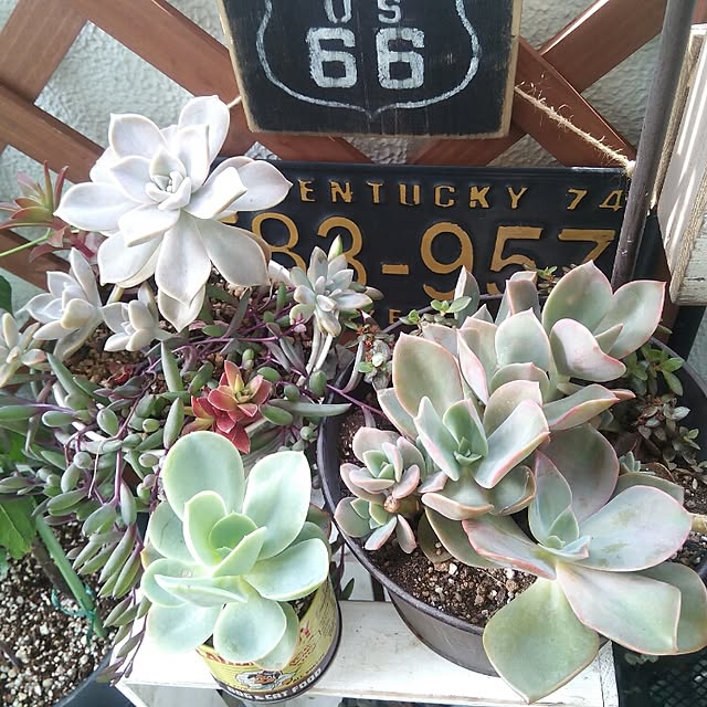 VERANDARJUNさんの実例写真