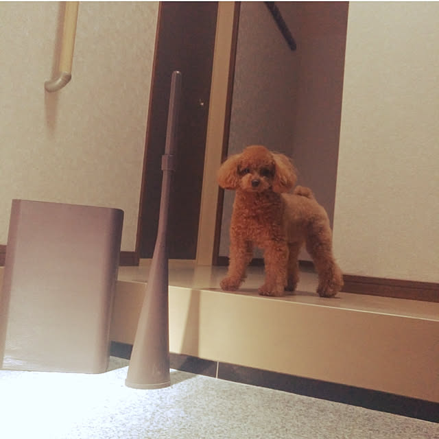 Samさんの実例写真