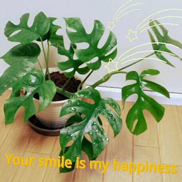 Little-Bambiさんの実例写真