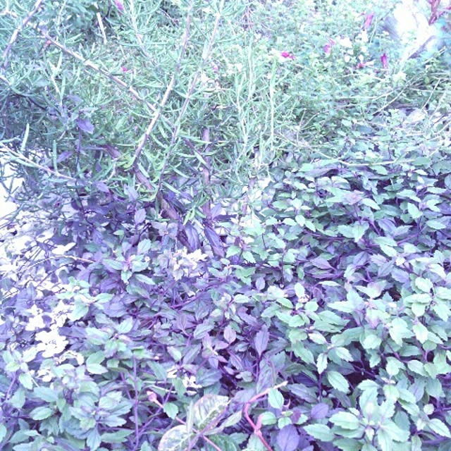 akr29さんの実例写真