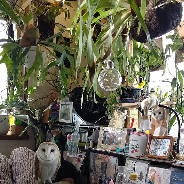 mikiさんの実例写真