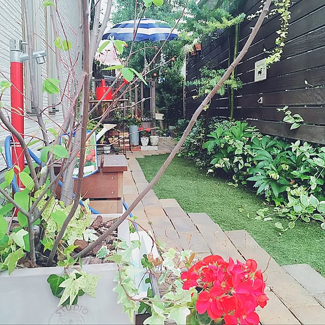 risaさんの実例写真
