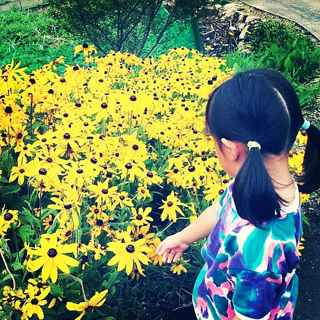 kumi5さんの実例写真