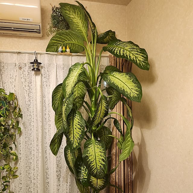 takoさんの部屋