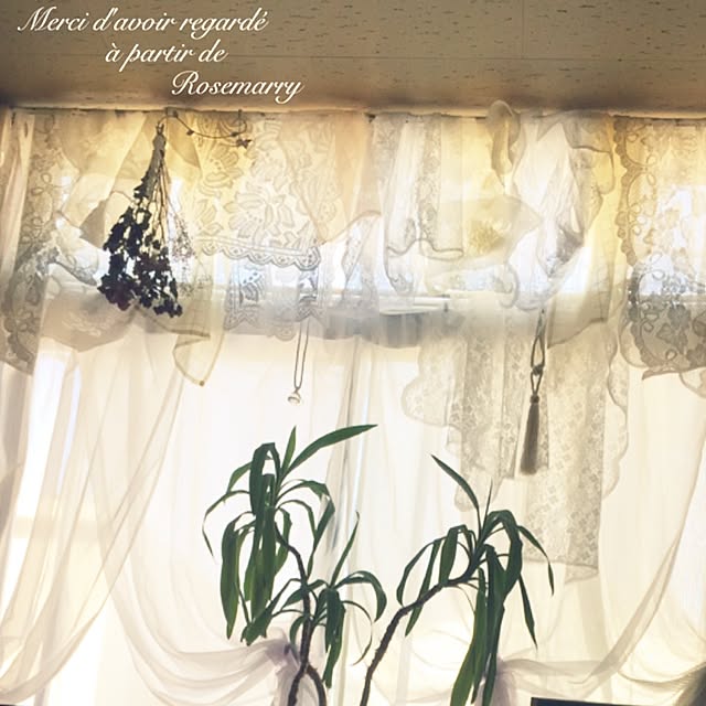 maria.rさんの実例写真