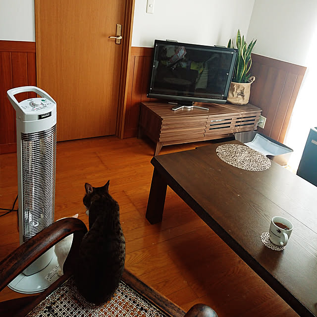 nachiさんの実例写真