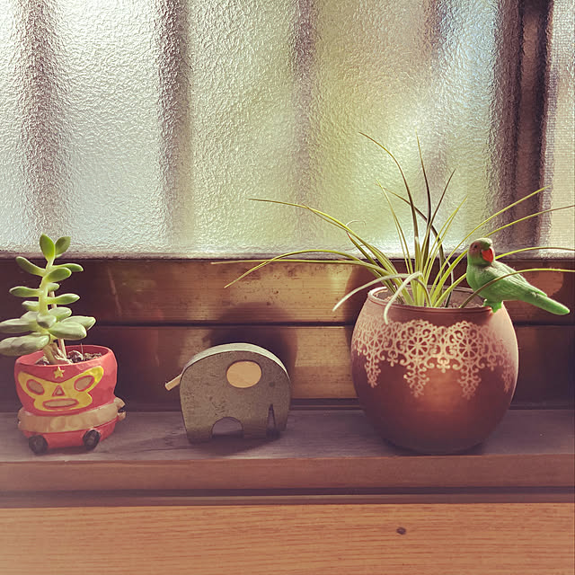 satoさんの実例写真