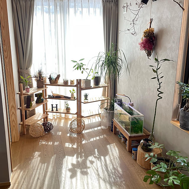 部屋全体/モニター応募投稿のインテリア実例 - 2023-09-28 07:34:59
