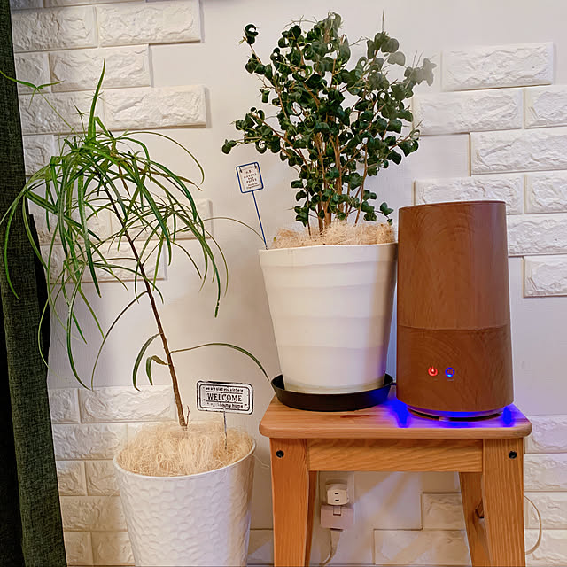 Keigoさんの実例写真