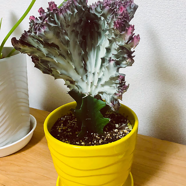 hanachanさんの部屋