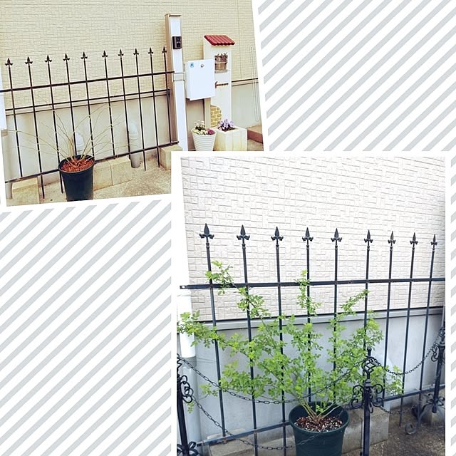 Bienvenueさんの部屋