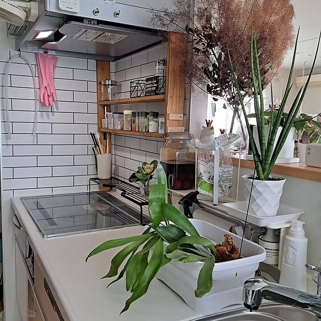 naoさんの部屋