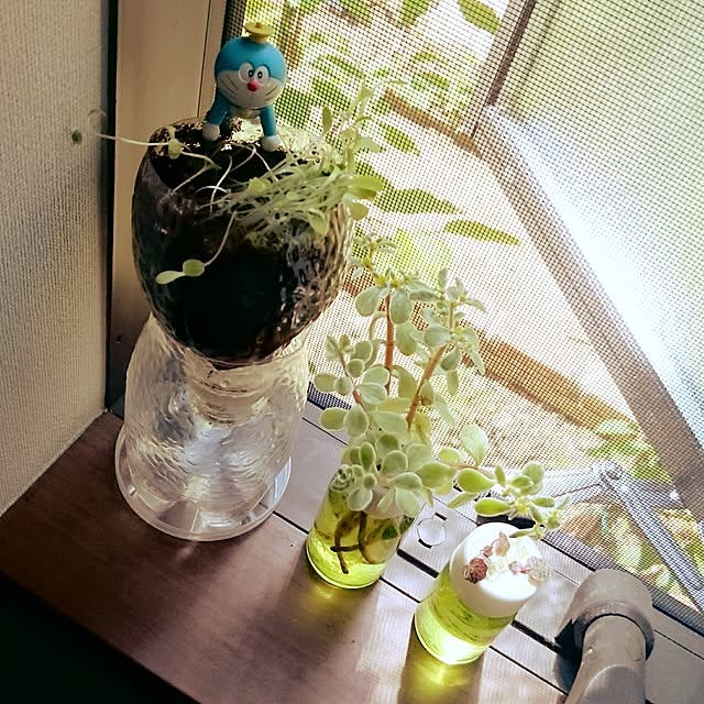 yamataniさんの実例写真