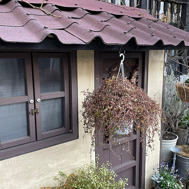 shiropenguinさんの部屋