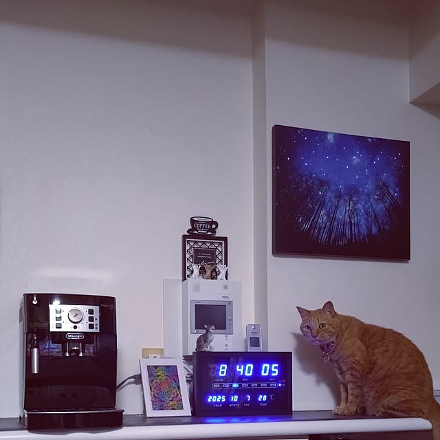 NOAHさんの部屋