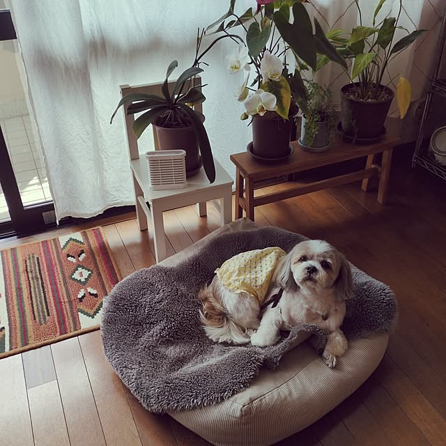 anzmama0404さんの実例写真