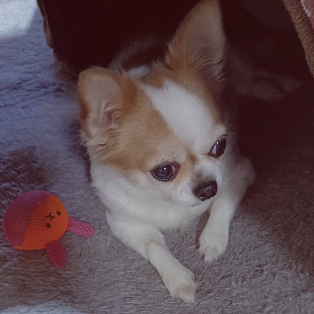 hiro.904さんの実例写真