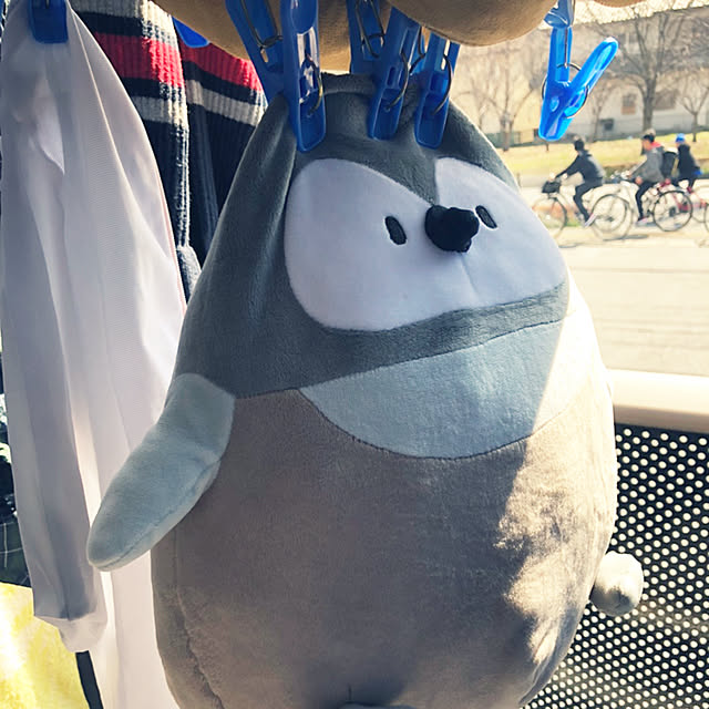 makinomotoさんの実例写真