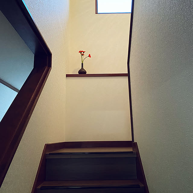 nomaooyaさんの実例写真