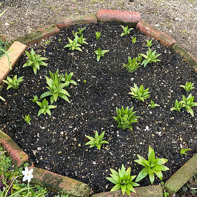 ritsukoさんの部屋