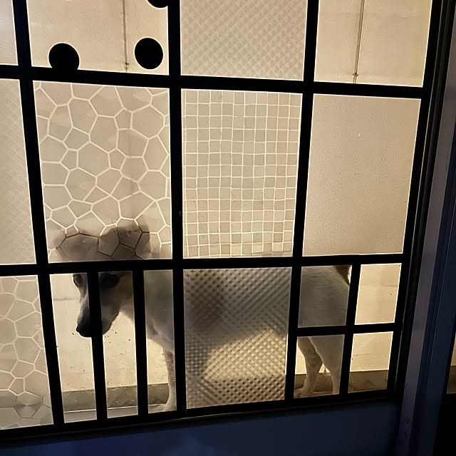 kittyさんの部屋