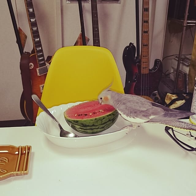 Yukiさんの実例写真