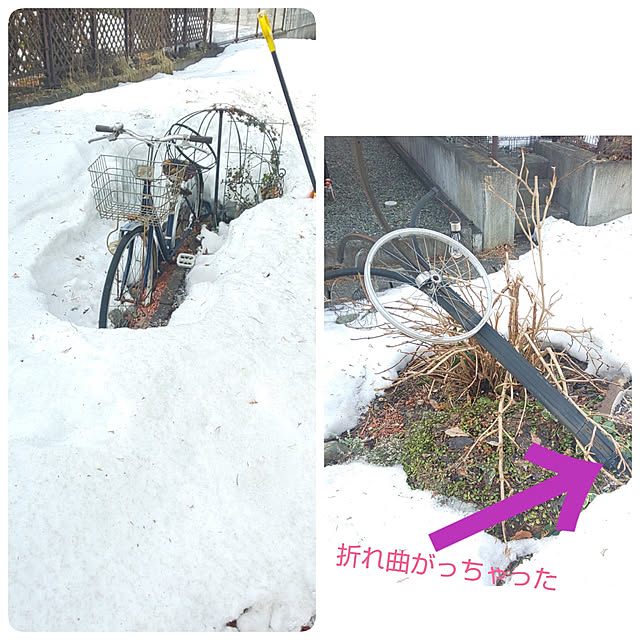 posauruさんの実例写真