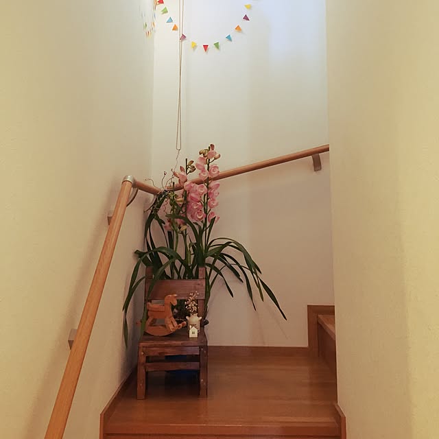 p-さんの実例写真