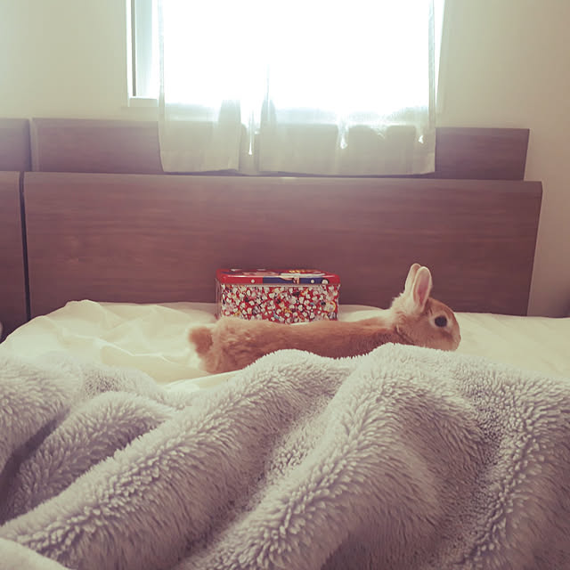 aiさんの実例写真
