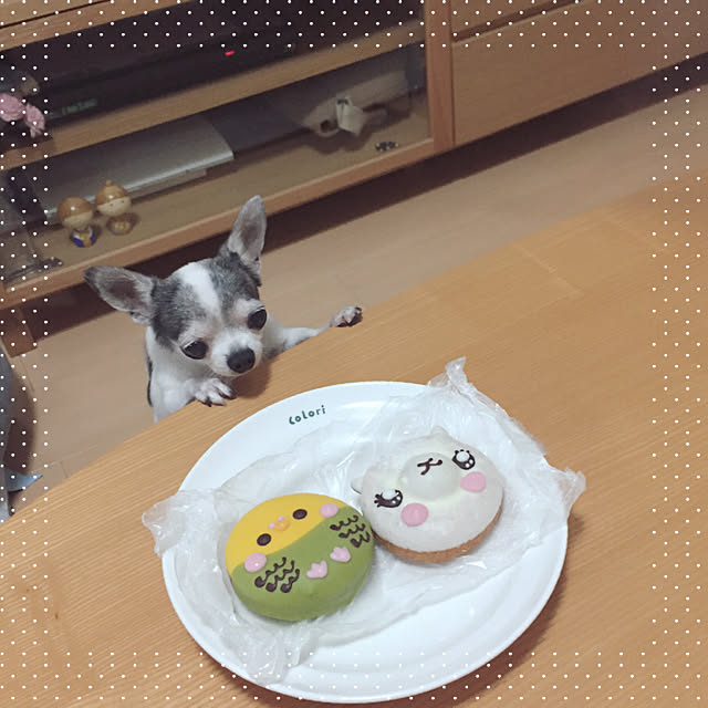 Emiさんの実例写真