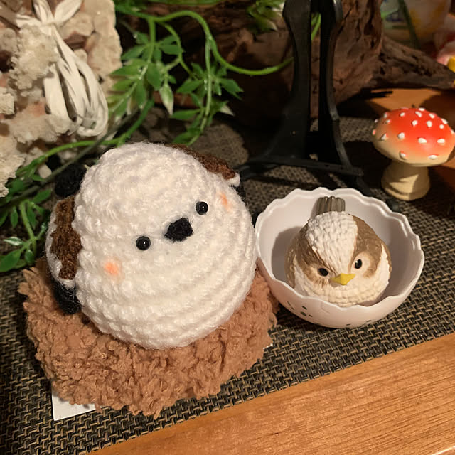 Aqettyさんの部屋