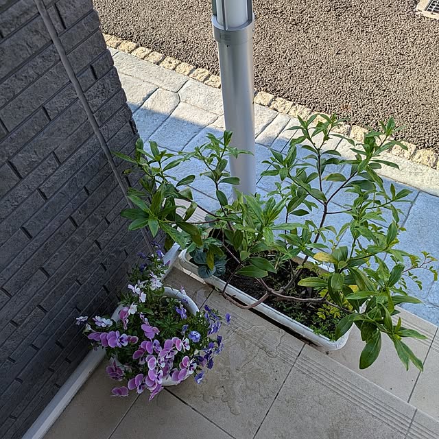 minnieさんの部屋