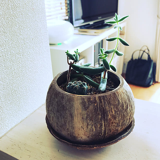 部屋全体のインテリア実例 - 2020-02-22 11:14:26