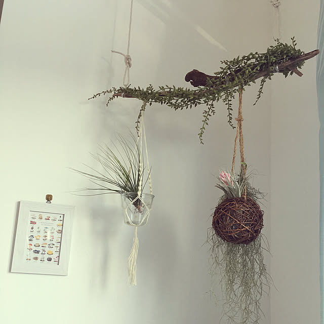 misariさんの実例写真